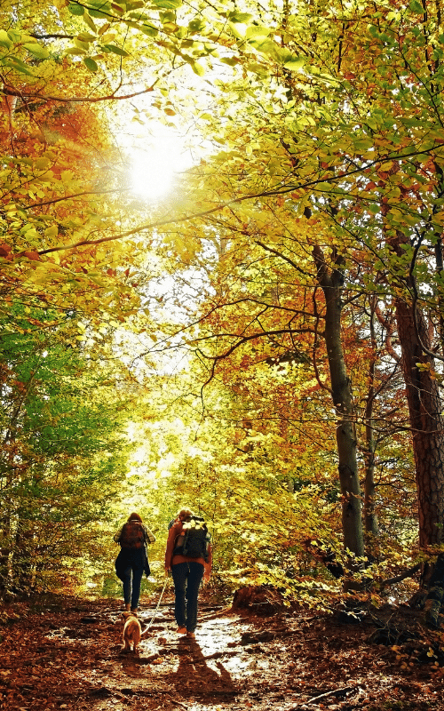 Fall Colors Hiking
