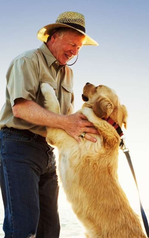 Man with his dog500x800