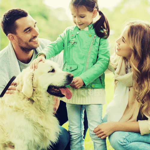 Family in meadow with a dog